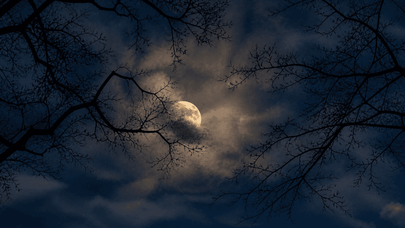 Mondphase als Reflexions-Anlass